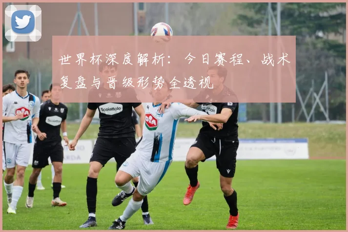 世界杯深度解析：今日赛程、战术复盘与晋级形势全透视