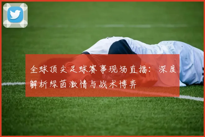 全球顶尖足球赛事现场直播：深度解析绿茵激情与战术博弈