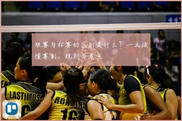 联赛与杯赛的区别是什么?一文读懂赛制、规则与看点